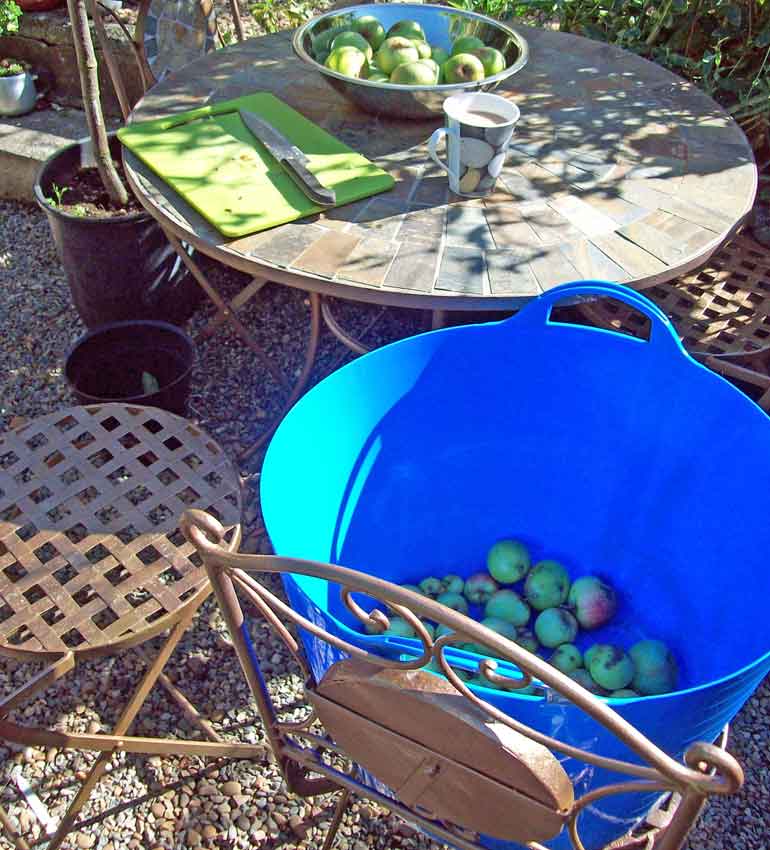 apples-outside-2-sept-18-16 Apples