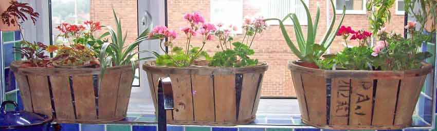 Quirky garden recycling and upcycling