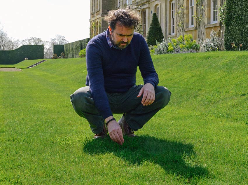 Guest blog by lawn expert David Hedges-Gower. Picture; David Hedges-Gower