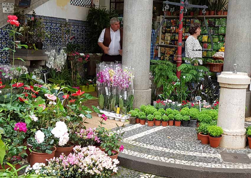 One of the plant stalls, Mercado dos Lavradores, Funchal, Madeira