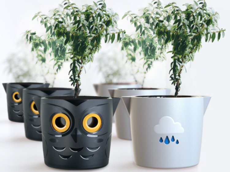 WaterMe Pots plant pot wants water